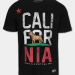 Koszulka męska CALIFORNIA