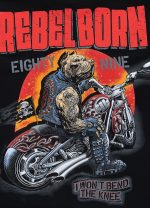 d1e706c582c42b3d2c989319df420f99